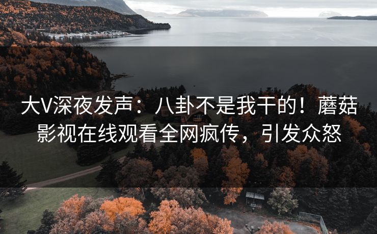 大V深夜发声：八卦不是我干的！蘑菇影视在线观看全网疯传，引发众怒