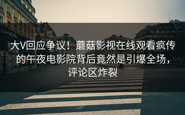 大V回应争议！蘑菇影视在线观看疯传的午夜电影院背后竟然是引爆全场，评论区炸裂