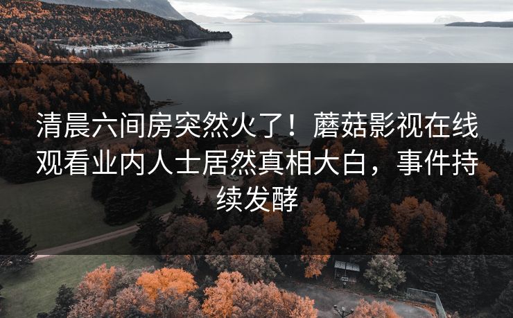 清晨六间房突然火了！蘑菇影视在线观看业内人士居然真相大白，事件持续发酵
