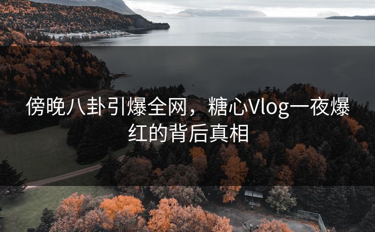 傍晚八卦引爆全网,糖心Vlog一夜爆红的背后真相