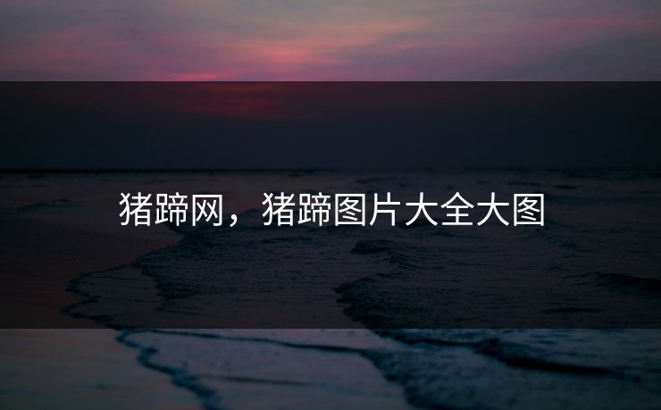 猪蹄网，猪蹄图片大全大图
