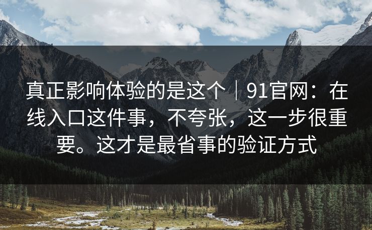 真正影响体验的是这个｜91官网：在线入口这件事，不夸张，这一步很重要。这才是最省事的验证方式
